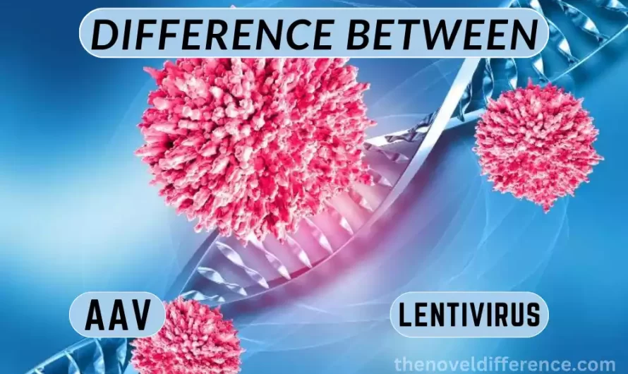Difference Between AAV and Lentivirus