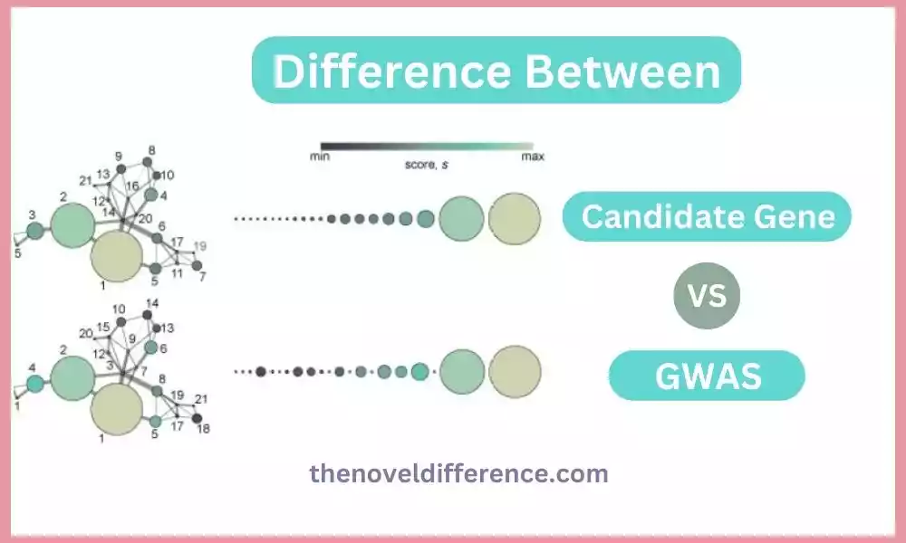 Candidate Gene and GWAS