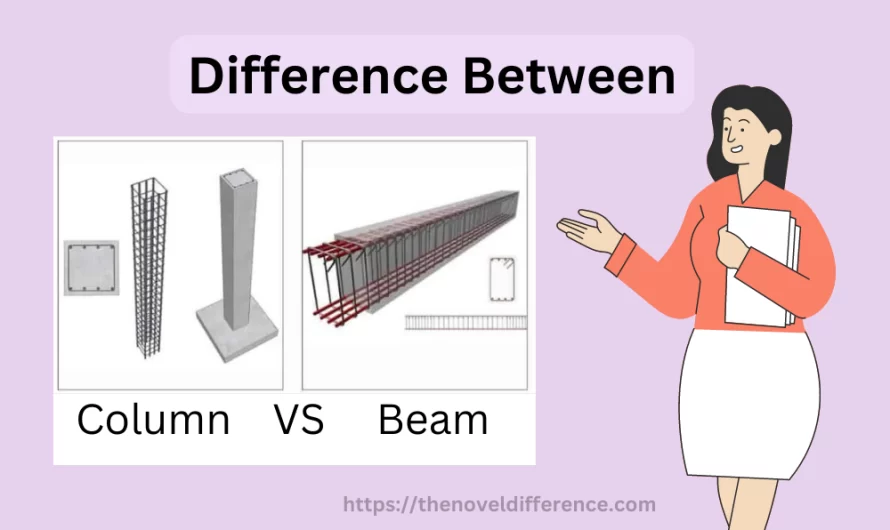 Difference Between Column and Beam