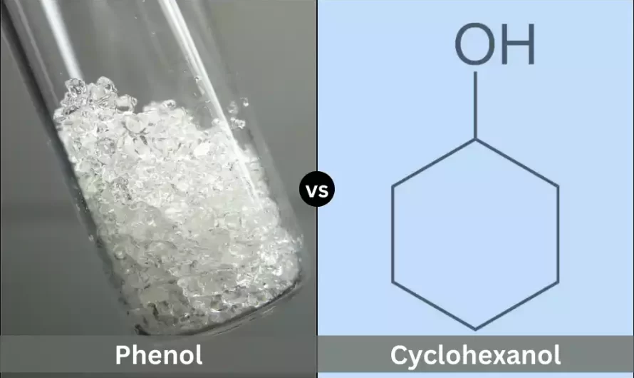 Difference Between Cyclohexanol and Phenol