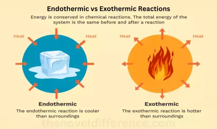 Difference Between Endothermic and Exothermic Reactions