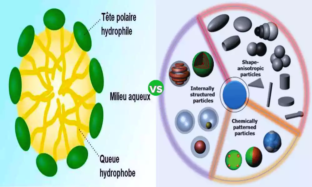 Difference Between Micelles and Colloidal Particles