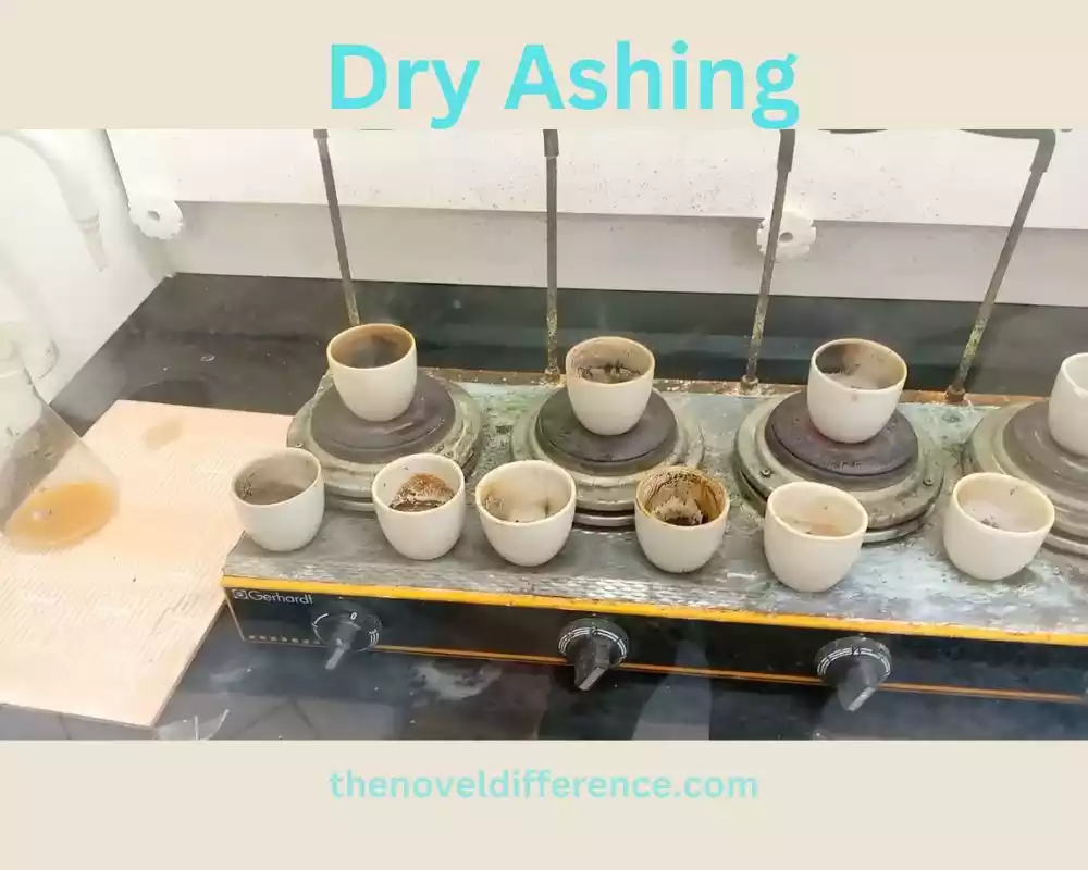 Dry Ashing