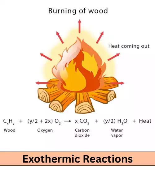Exothermic Reactions