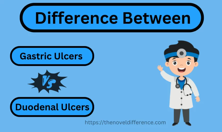 Difference Between Gastric and Duodenal Ulcers