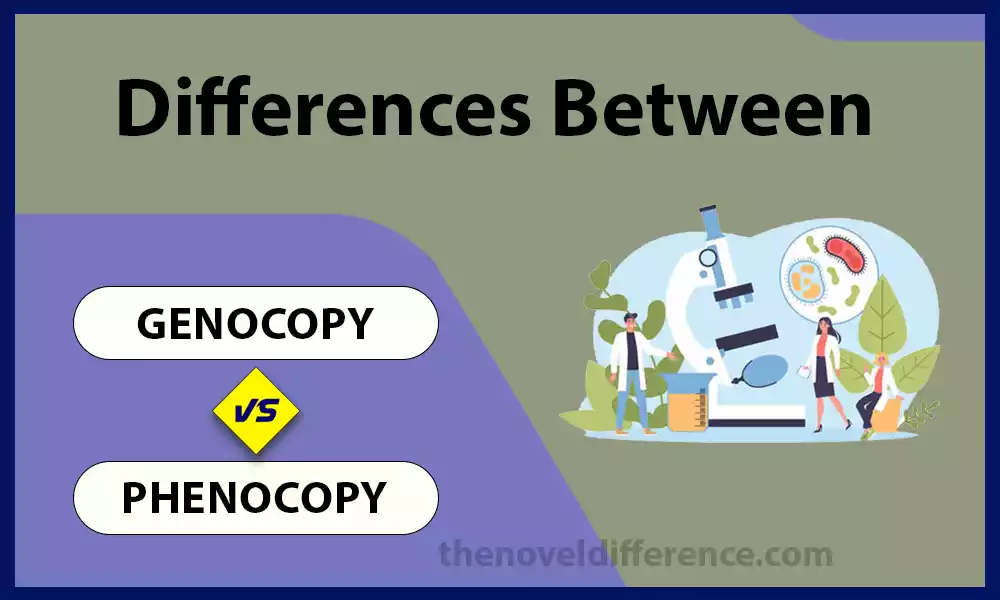 Genocopy and Phenocopy