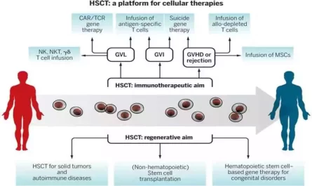 Hematopoietic Stem Cells and Progenitor Cells