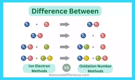 Ion Electron and Oxidation Number Methods