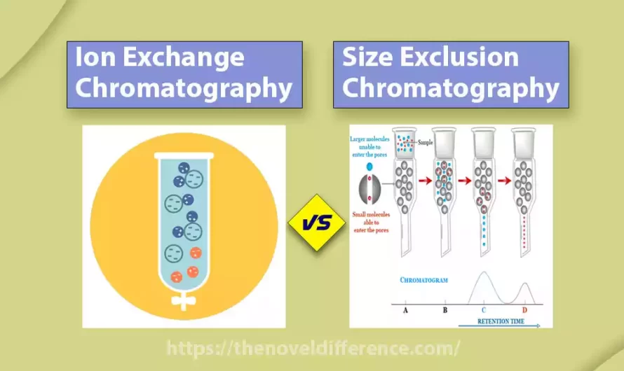 Difference Between Ion Exchange and Size Exclusion Chromatography