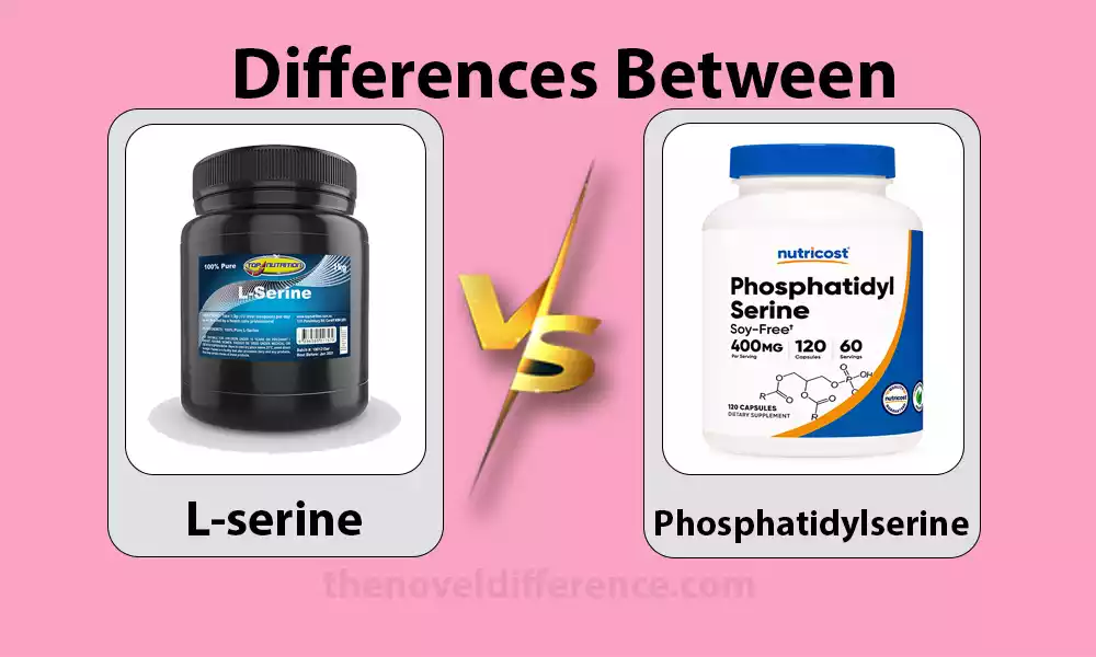L-serine and Phosphatidylserine