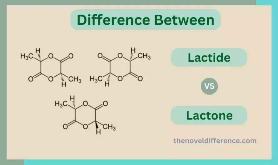 Differences Between Lactide and Lactone