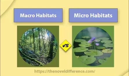 Macro and Micro Habitats