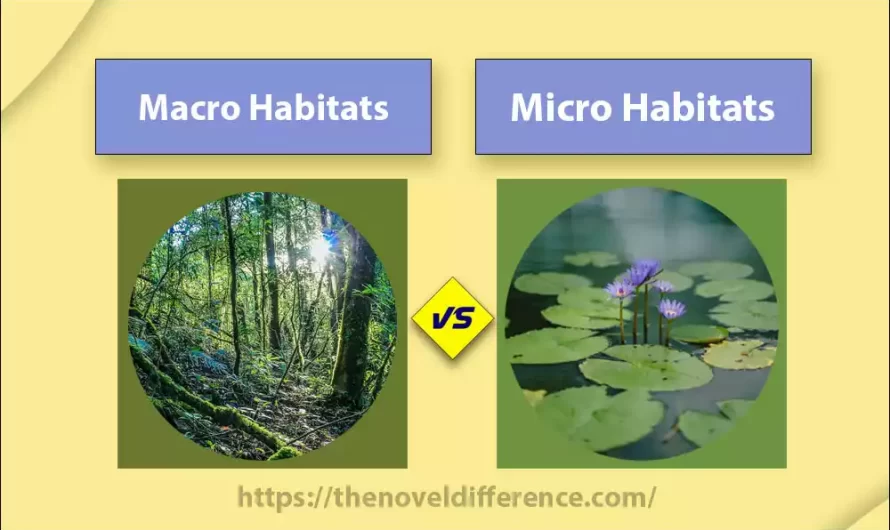 Difference Between Macro and Micro Habitats