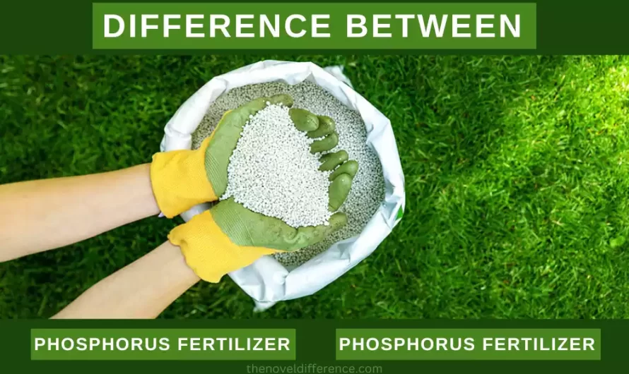 Difference Between Nitrogen and Phosphorus Fertilizer