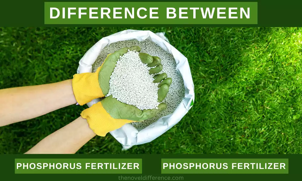 Nitrogen and Phosphorus Fertilizer