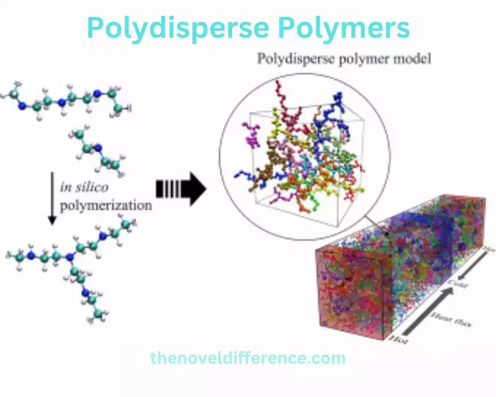 Polydisperse Polymers