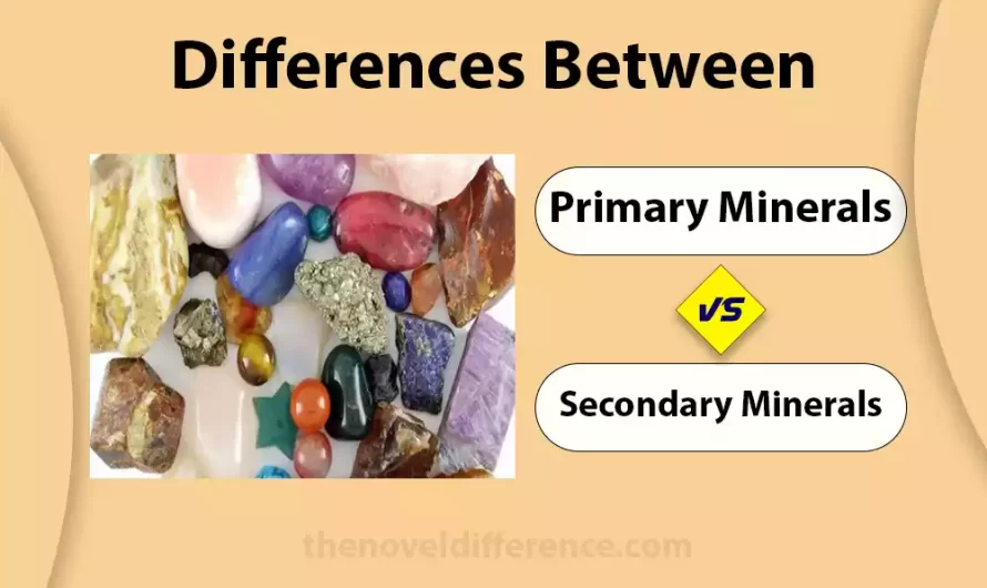 Difference Between Primary and Secondary Minerals