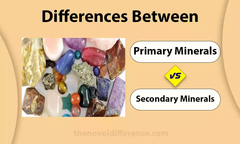 Primary and Secondary Minerals