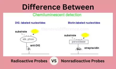 Radioactive and Nonradioactive Probes