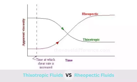 Thixotropic and Rheopectic Fluids