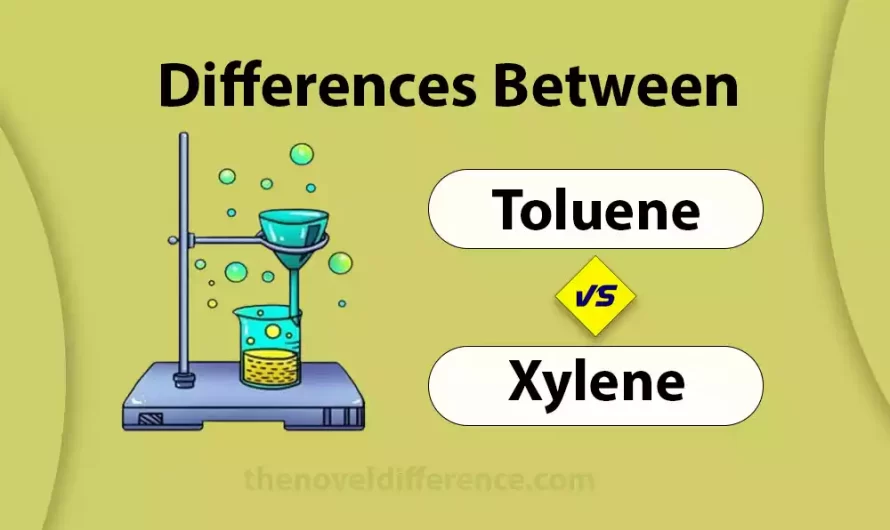 Difference Between Toluene and Xylene