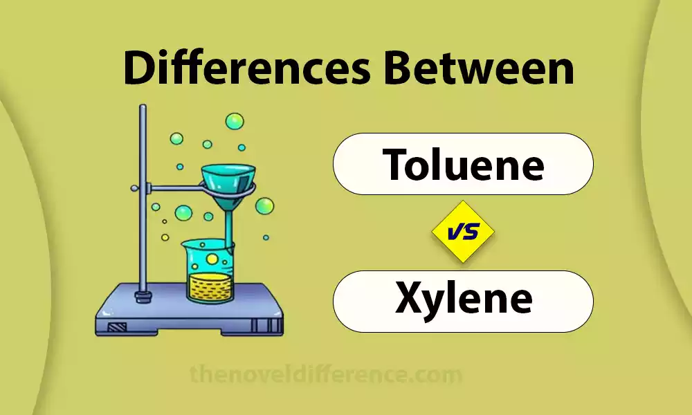 Toluene and Xylene