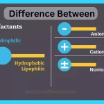 Anionic Cationic and Nonionic Surfactants