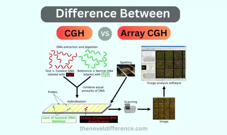 Difference Between CGH and Array CGH