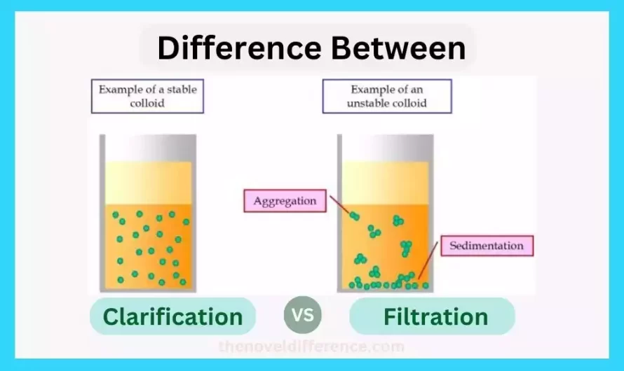 Difference Between Clarification and Filtration