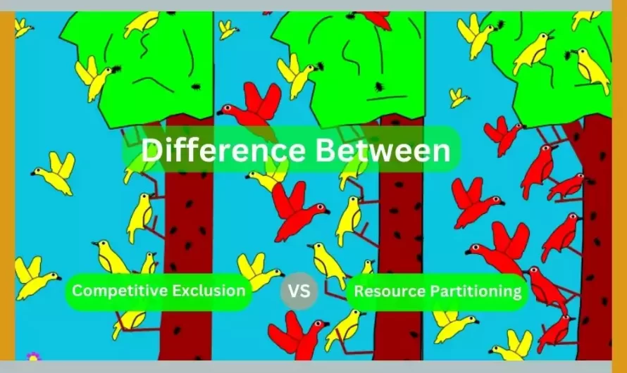 Difference Between Competitive Exclusion and Resource Partitioning