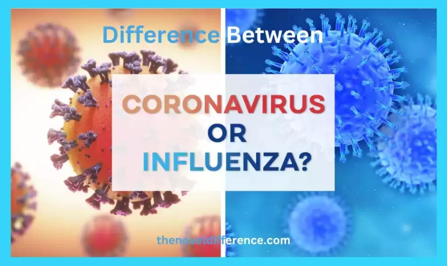 Difference Between Coronavirus and Influenza