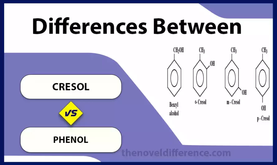 Difference Between Cresol and Phenol