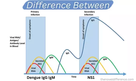 Dengue IgG, IgM, and NS1
