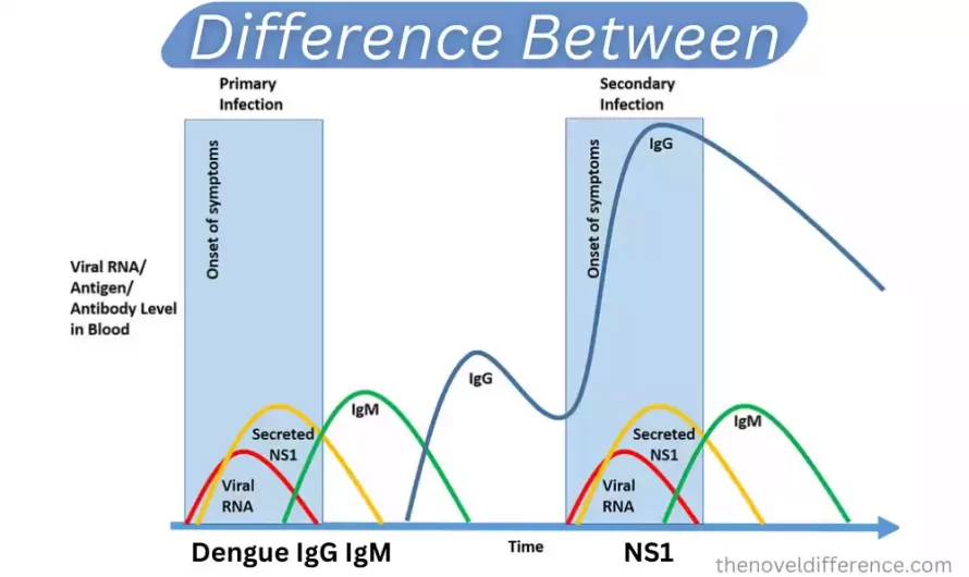 Difference Between Dengue IgG IgM and NS1