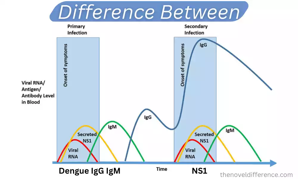 Dengue IgG, IgM, and NS1
