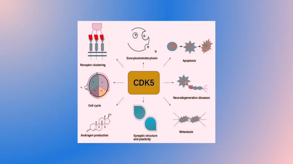 Dysregulation-of-Cyclins-and-CDKs-in-Disease.