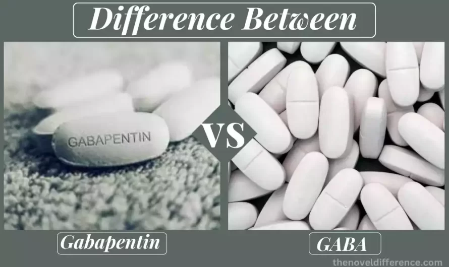 Difference Between GABA and Gabapentin