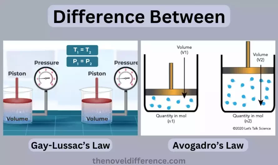Gay Lussac’s Law and Avogadro’s Law 5 best difference