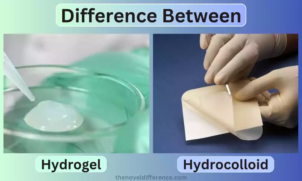 Hydrogel and Hydrocolloid