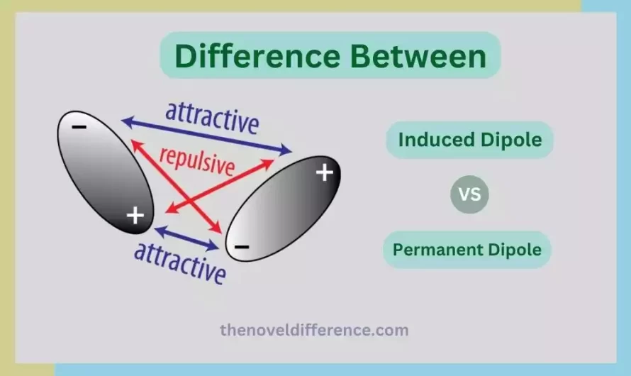 Difference Between Induced Dipole and Permanent Dipole
