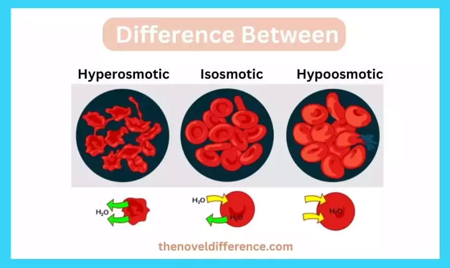 Difference Between Isosmotic Hyperosmotic and Hypoosmotic