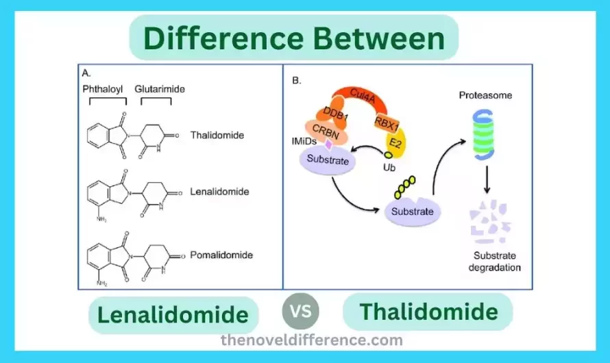 Difference Between Lenalidomide and Thalidomide