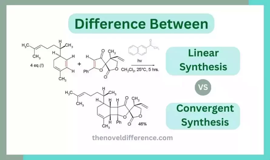 Difference Between Linear and Convergent Synthesis