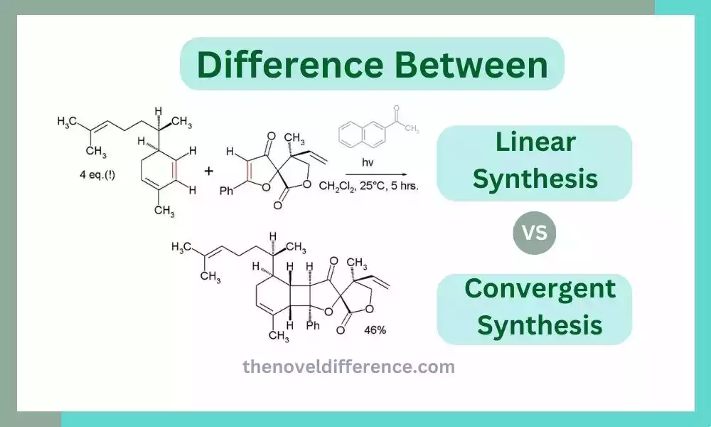 Linear and Convergent Synthesis