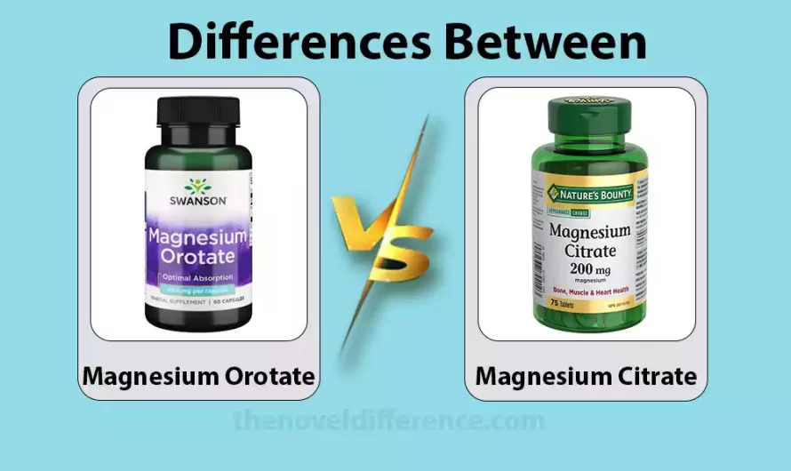 Difference Between Magnesium Orotate and Magnesium Citrate