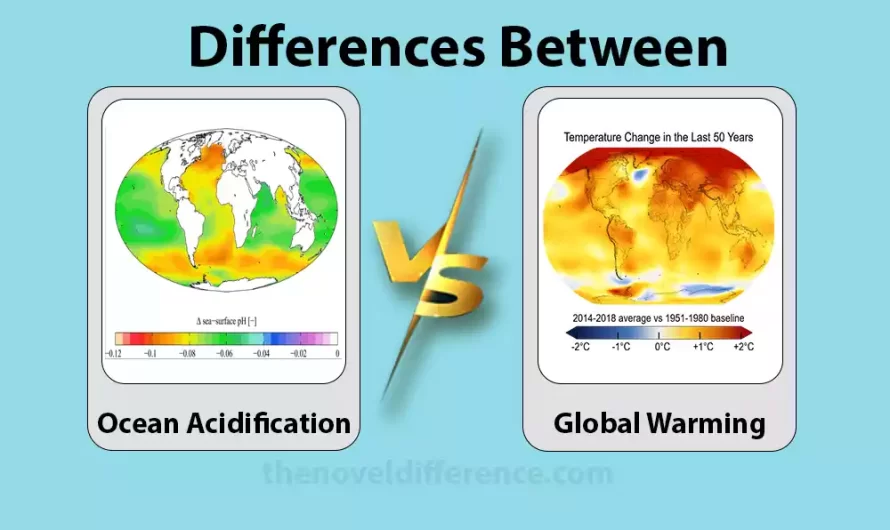 Difference Between Ocean Acidification and Global Warming