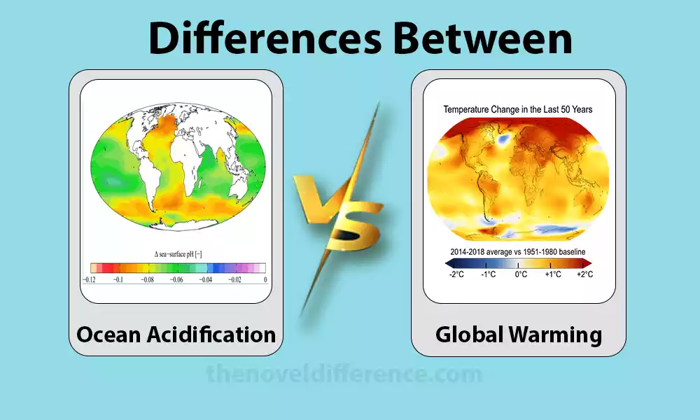 Ocean Acidification and Global Warming