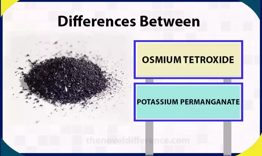 Difference Between Osmium Tetroxide and Potassium Permanganate