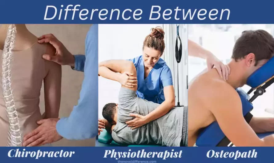 Difference Between Osteopath and Chiropractor, and Physiotherapist