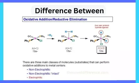 Oxidative Addition and Reductive Elimination